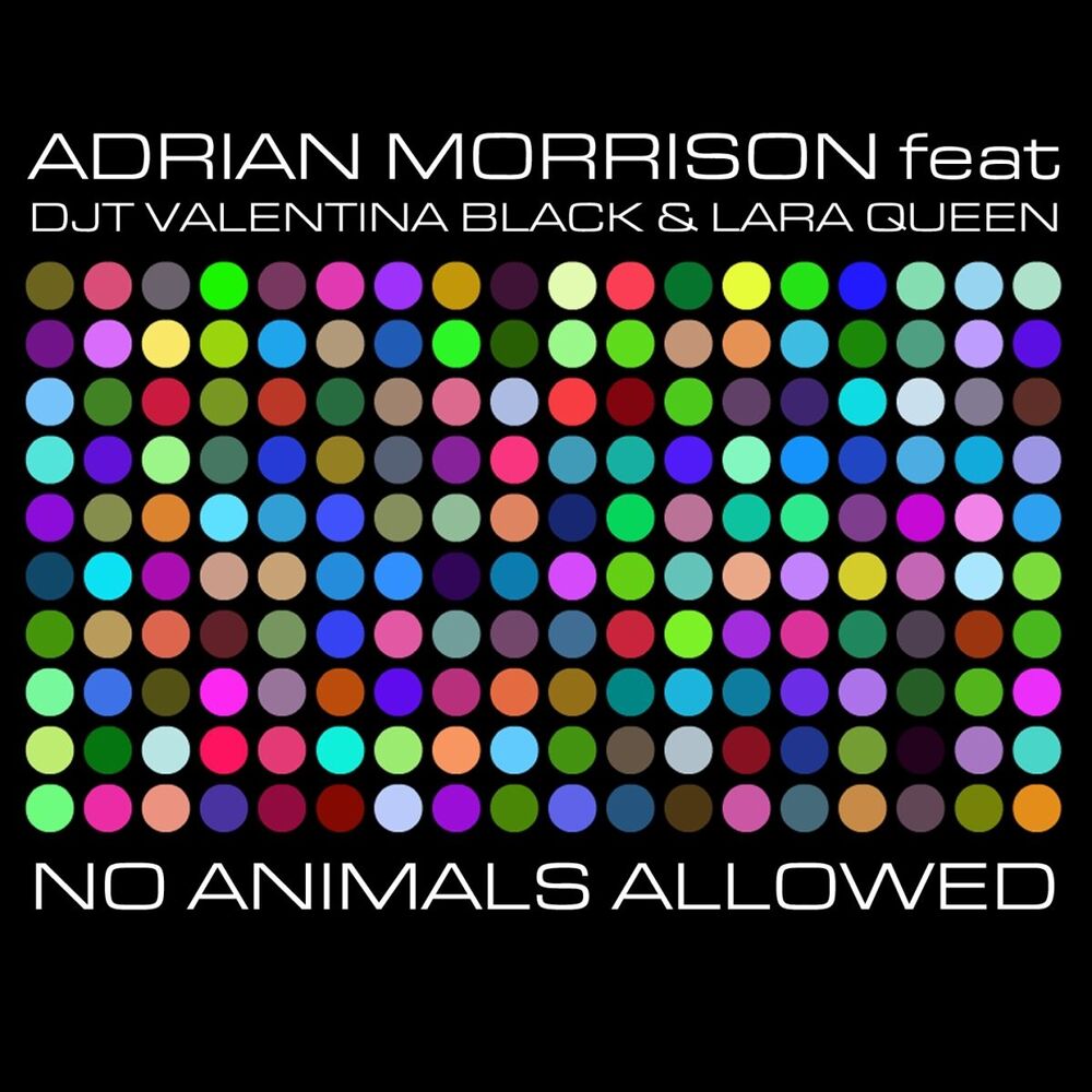 Picture of No animals allowed