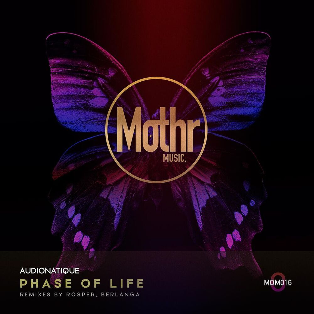 Picture of Phase Of Life