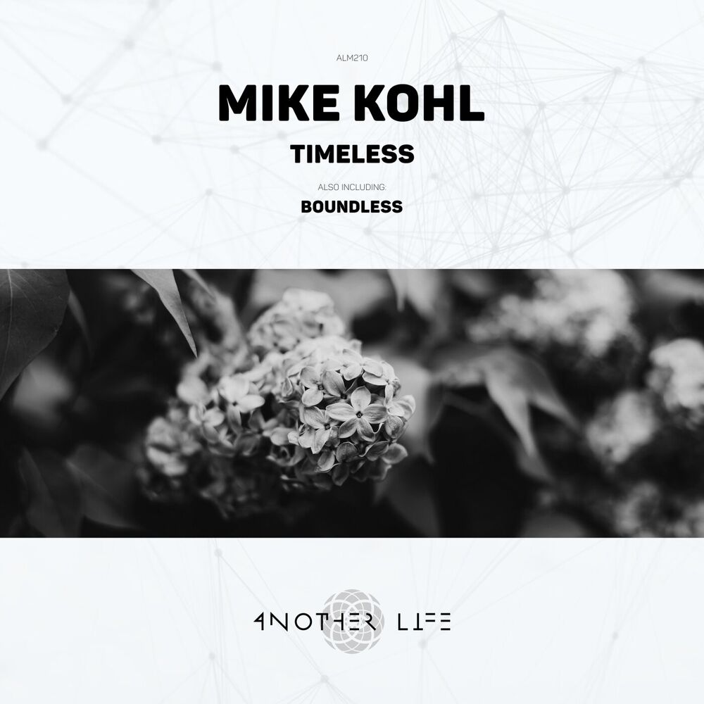 Picture of Timeless