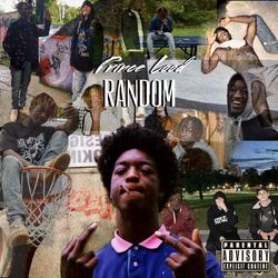 Cover of Random