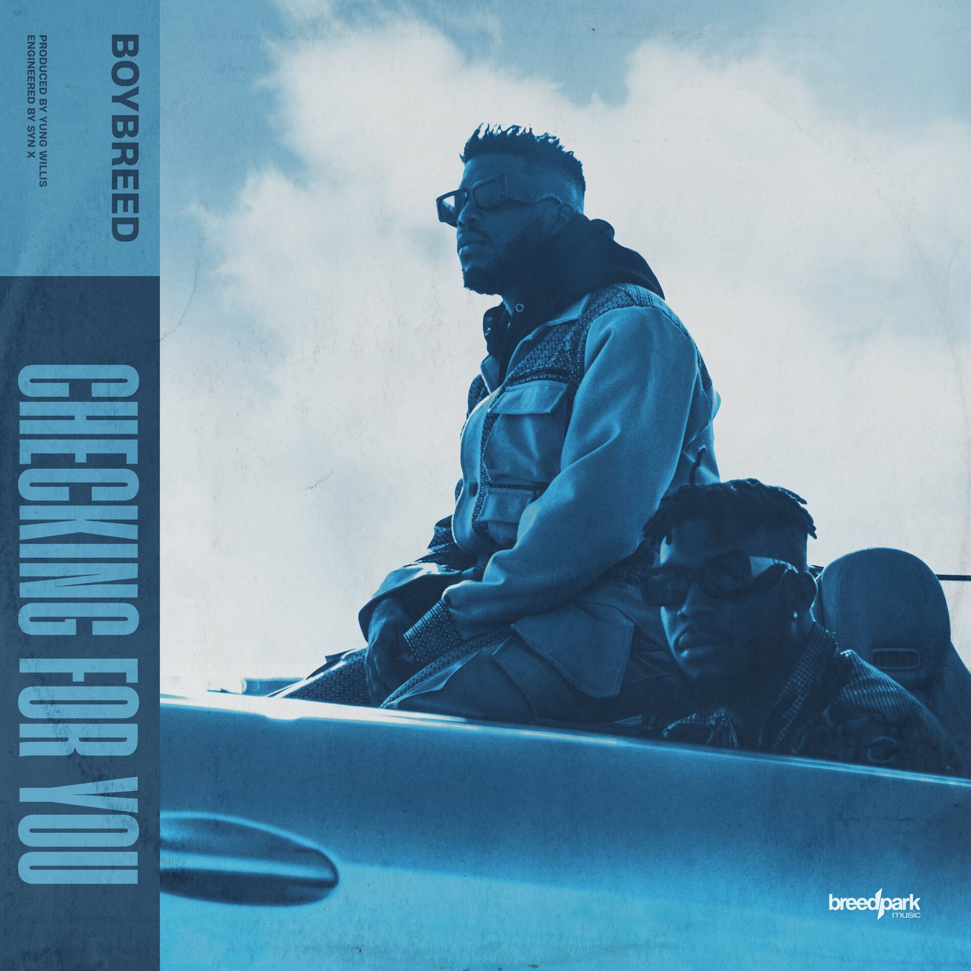 Album cover of Checking for You