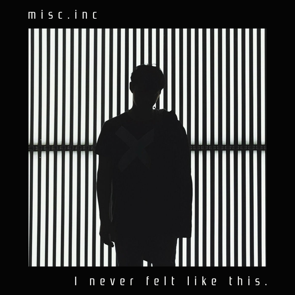 Album cover of I Never Felt Like This.