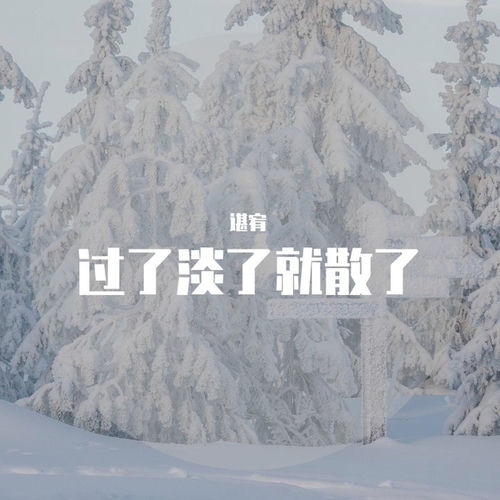 过了淡了就散了 (Remix)