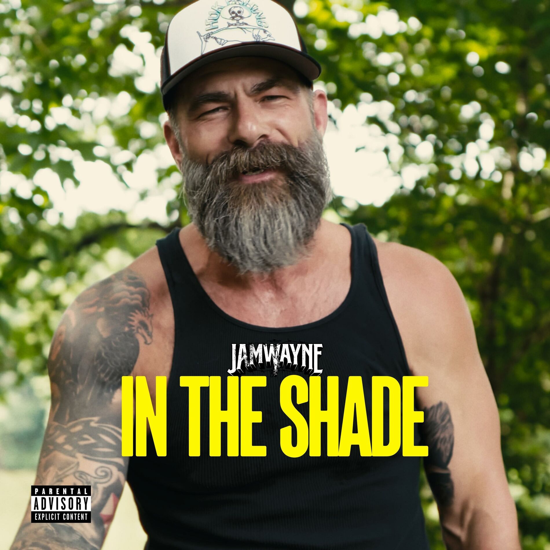 Album cover of In The Shade