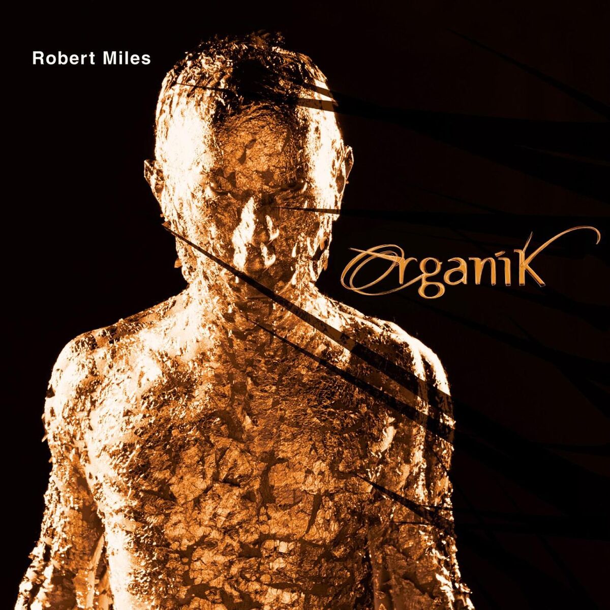 Album cover of Organik