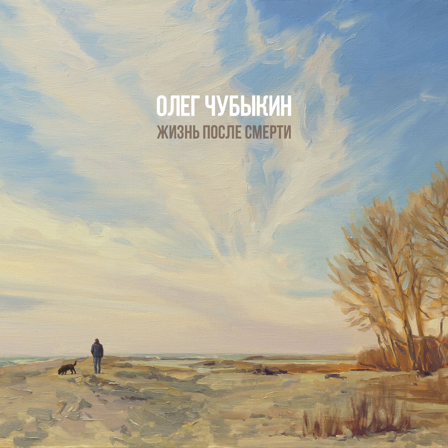 Album cover of Жизнь после смерти