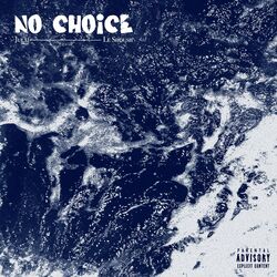 Cover of No Choice