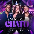 Número Chato