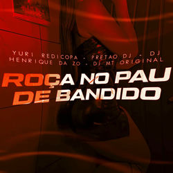 Roça no Pau de Bandido