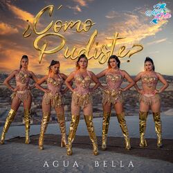 Cover of ¿Cómo Pudiste?