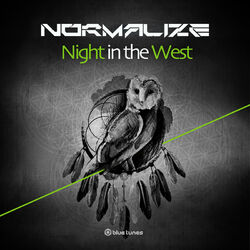Cover of Night in the West