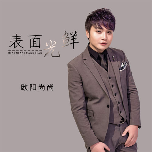 表面光鲜 (DJ版)