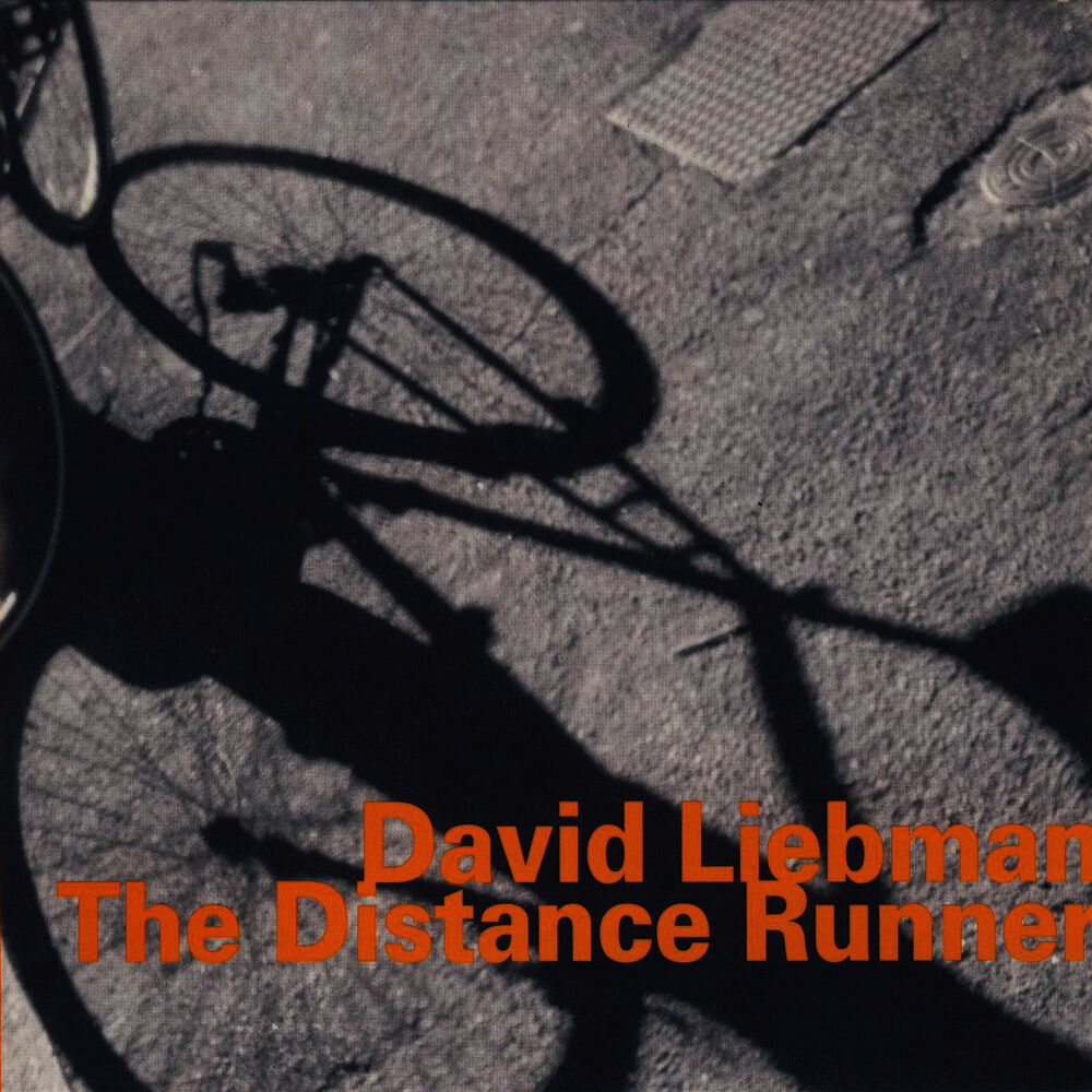 Picture of The Distance Runner