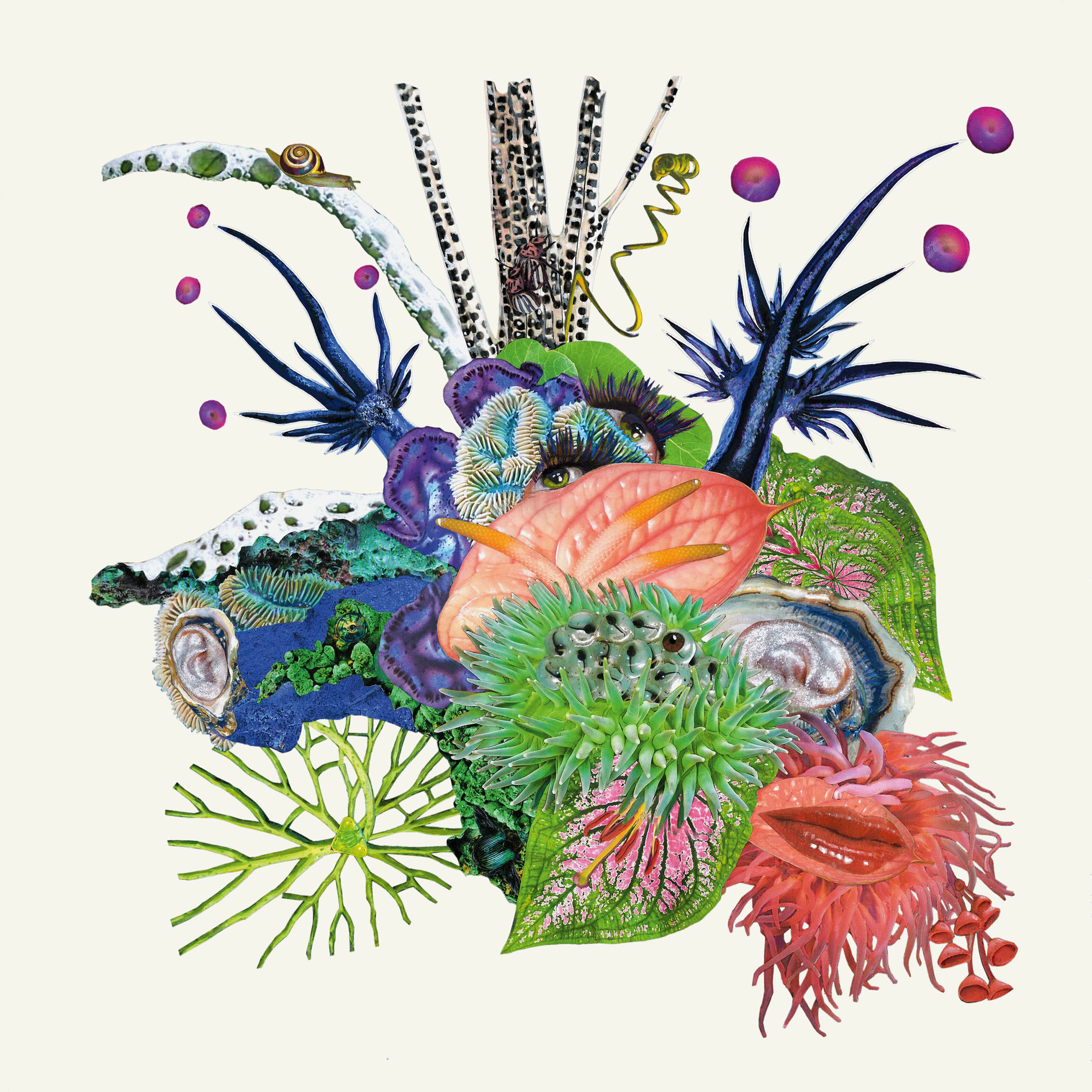Album cover of Touche (Deluxe Edition)