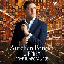 Cover of Vienna: Joyful Apocalypse