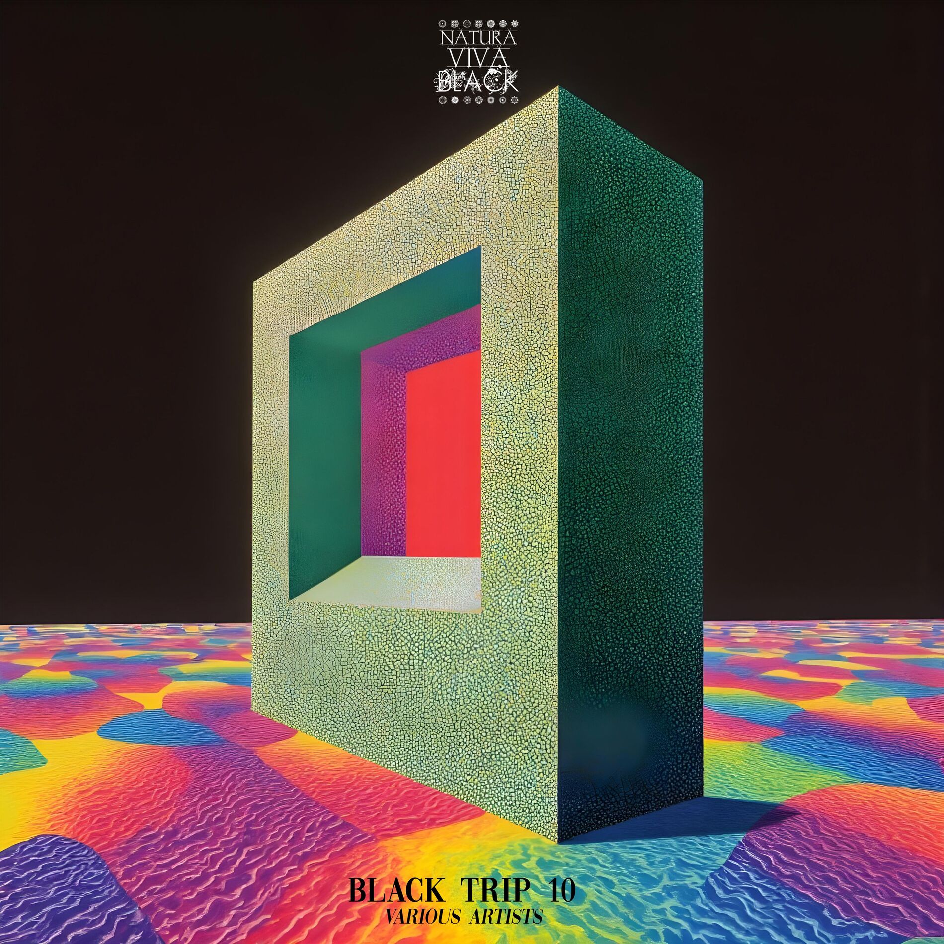 Album cover of Black Trip 10