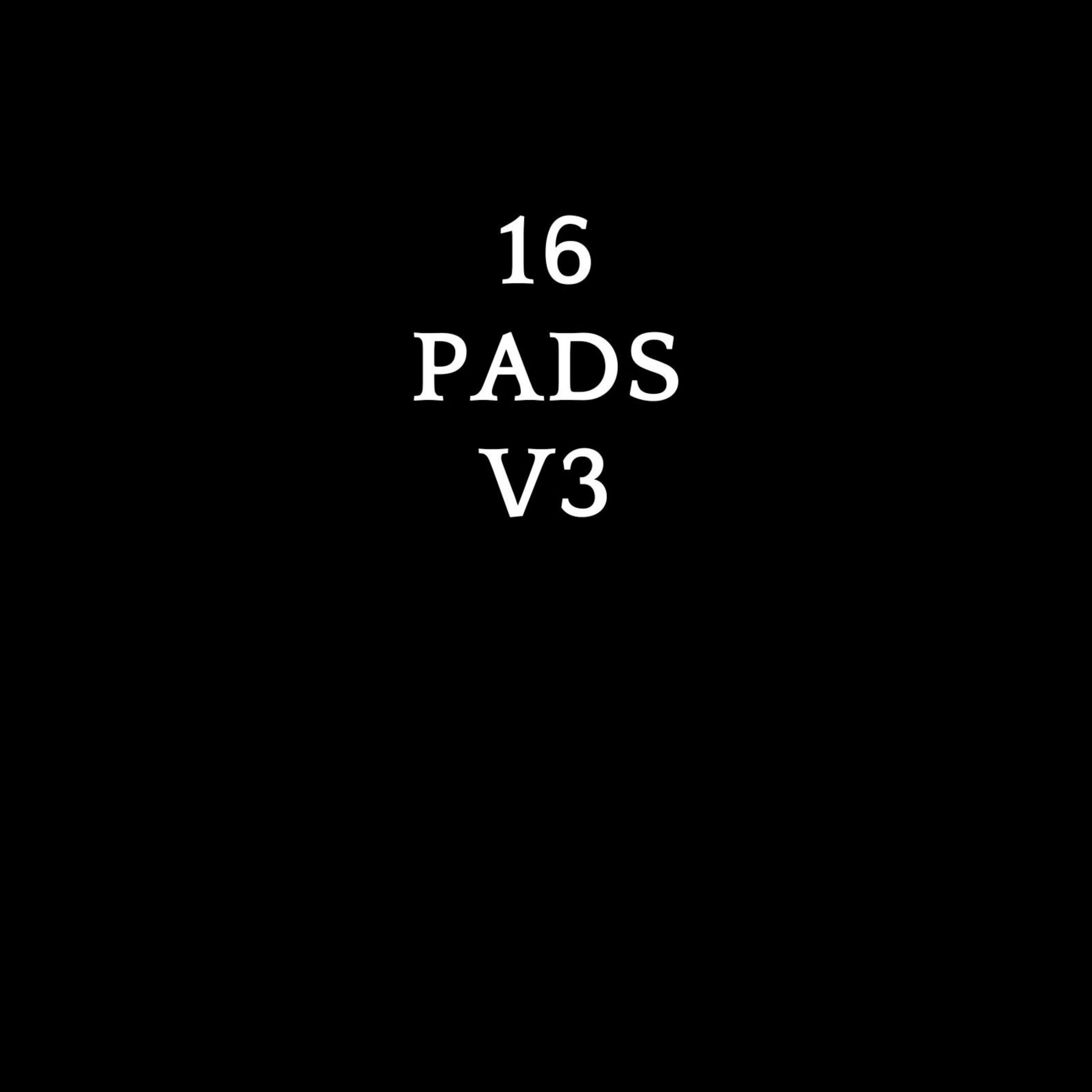 Album cover of SIXTEEN PADS VOLUME THREE (LOOP FLIPS)