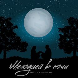Cover of Мелодией в ночи