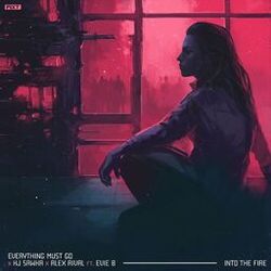 Cover of Into the Fire
