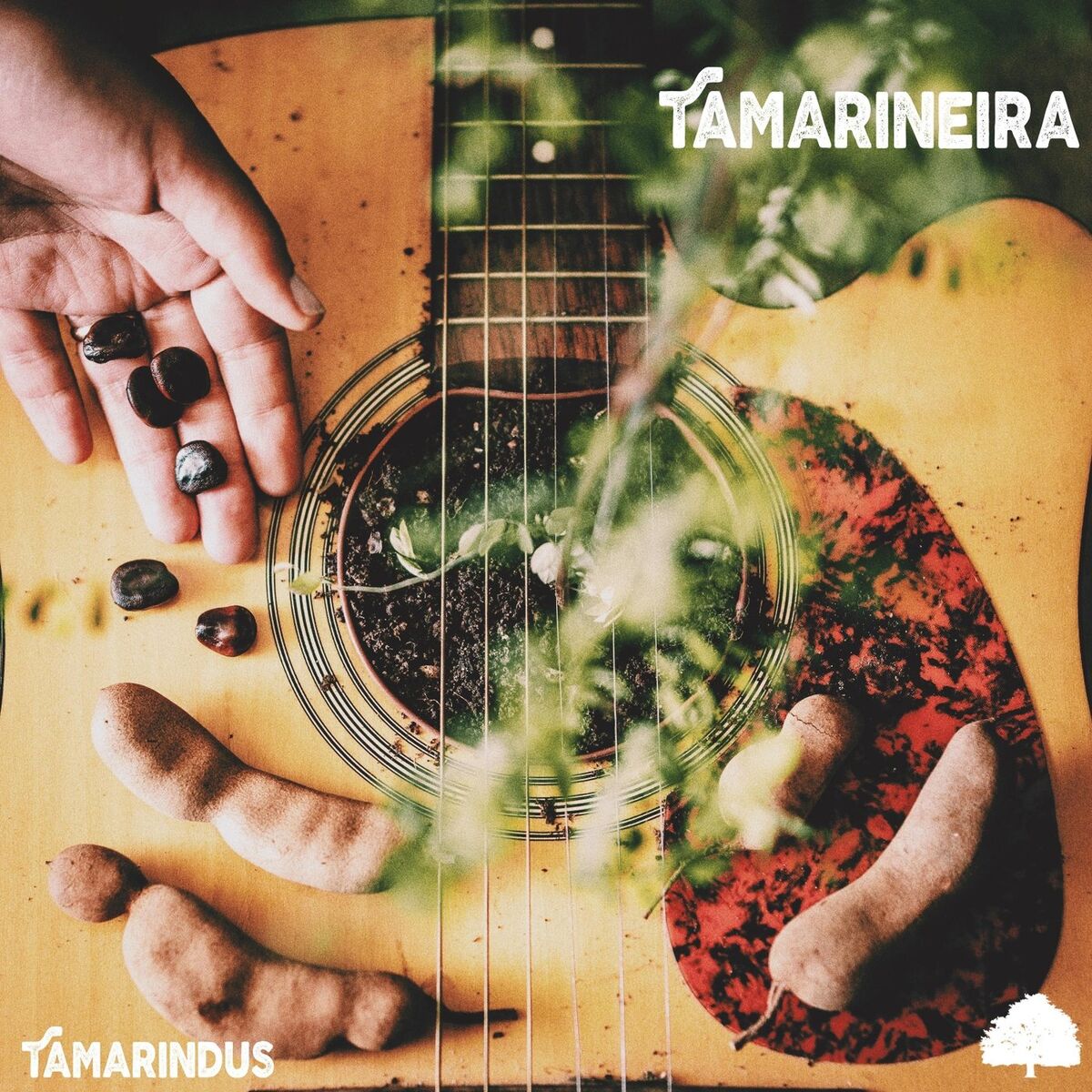 Album cover of Tamarineira