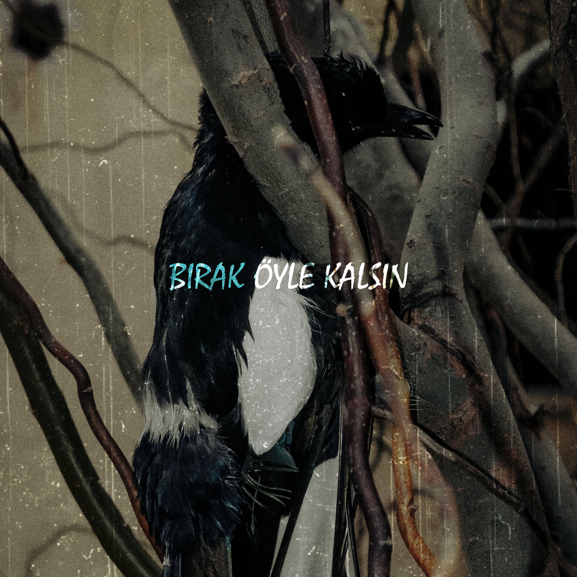 Album cover of Bırak Öyle Kalsın