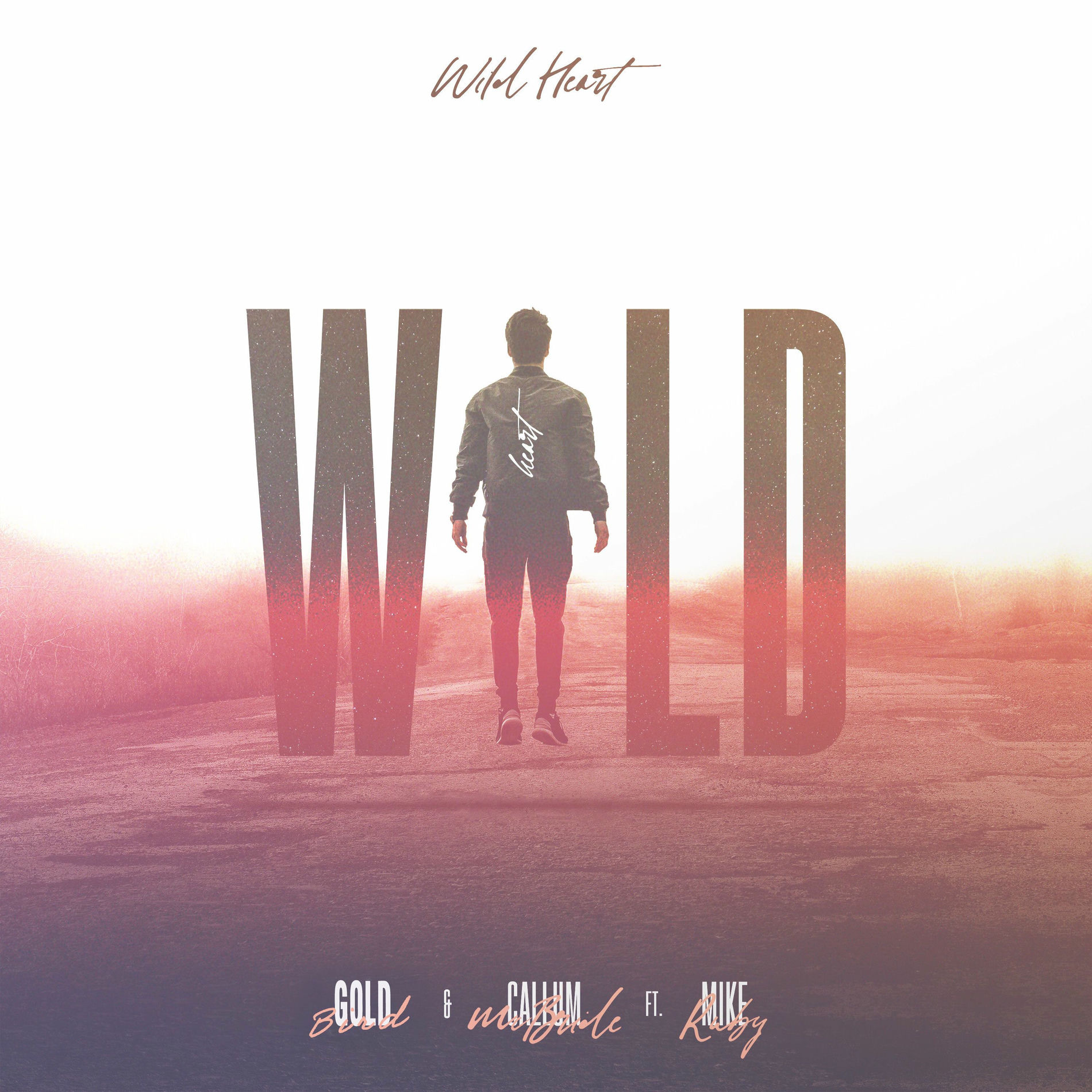 Album cover of Wild Heart