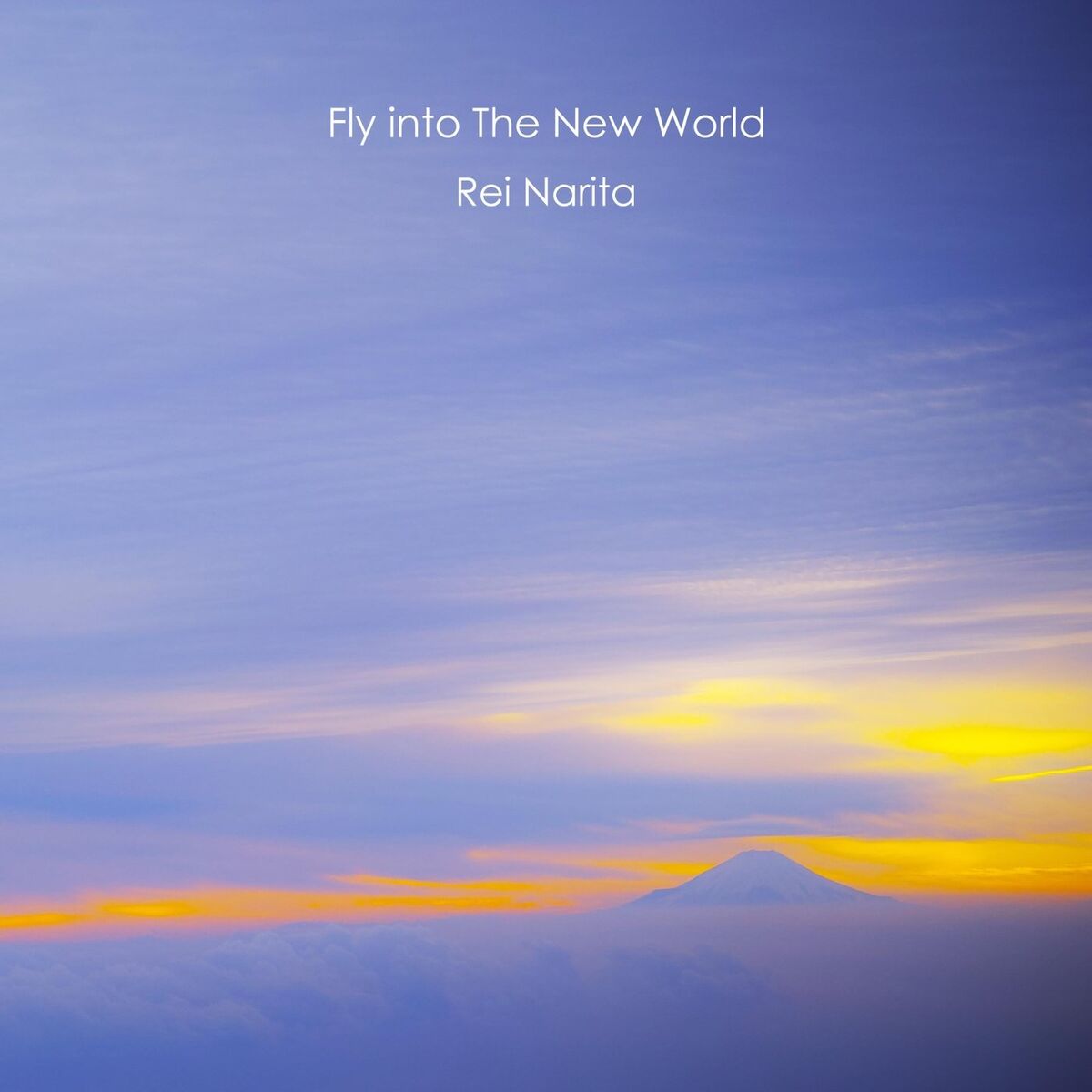 Album cover of Fly into the New World