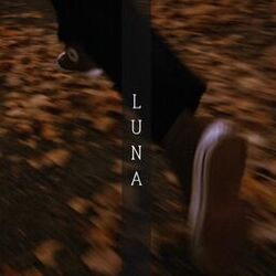 Cover of LUNA