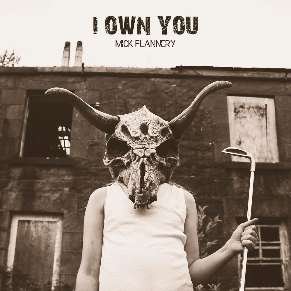 Picture of I Own You