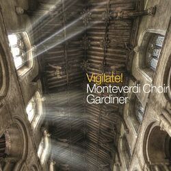 Cover of Vigilate!