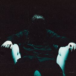 Cover of Into The Dark