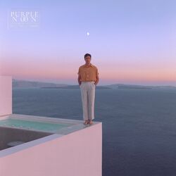 Cover of Purple Noon