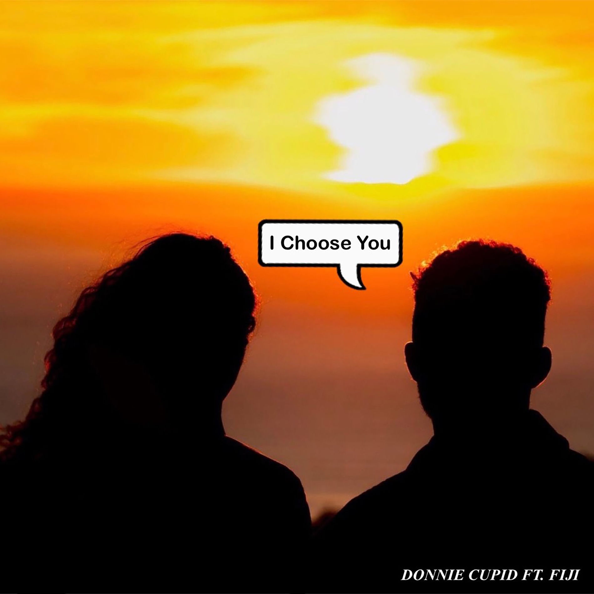 Album cover of I Choose You