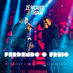 Cover of Perdendo o Freio