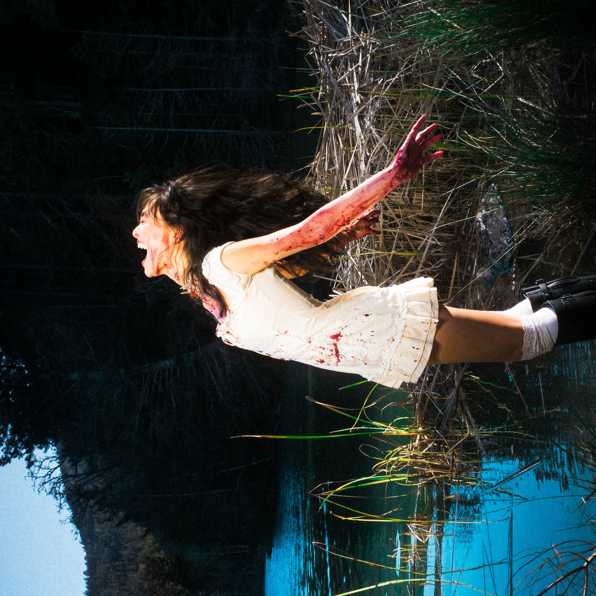 Album cover of Baby I'm The Wolf