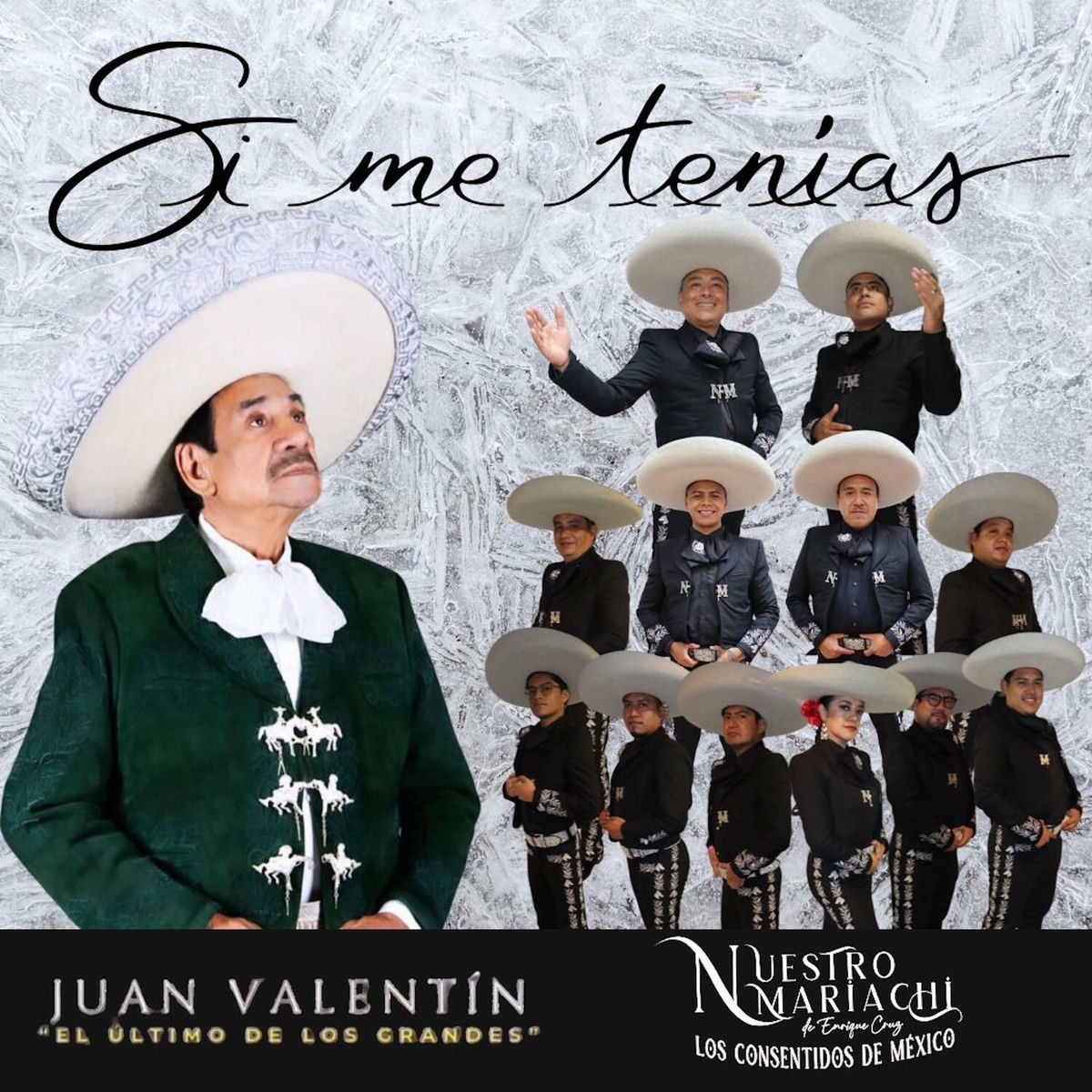 Album cover of Si Me Tenias