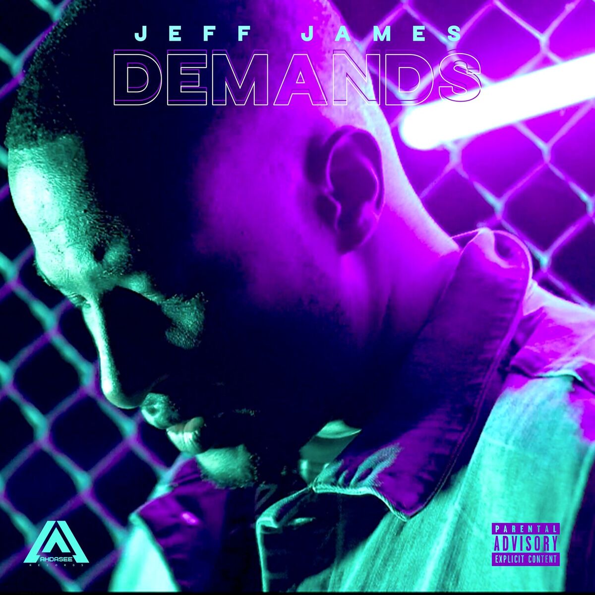 Album cover of Demands