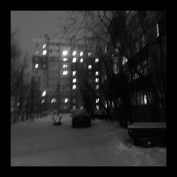 Cover of winter wind by undefined