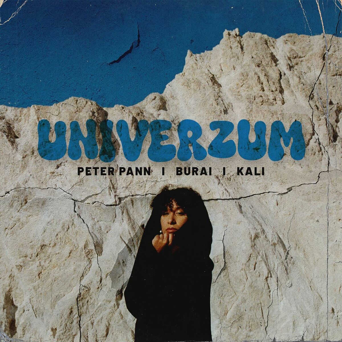 Album cover of Univerzum