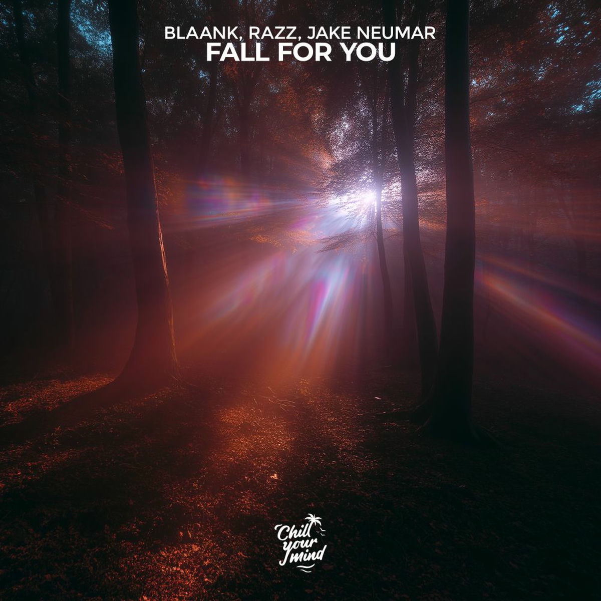 Album cover of Fall For You