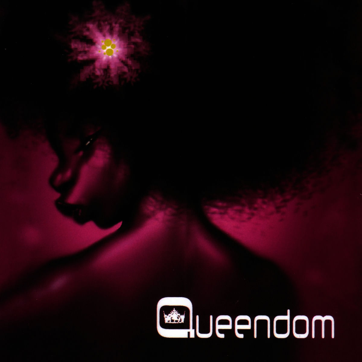 Album cover of Intro