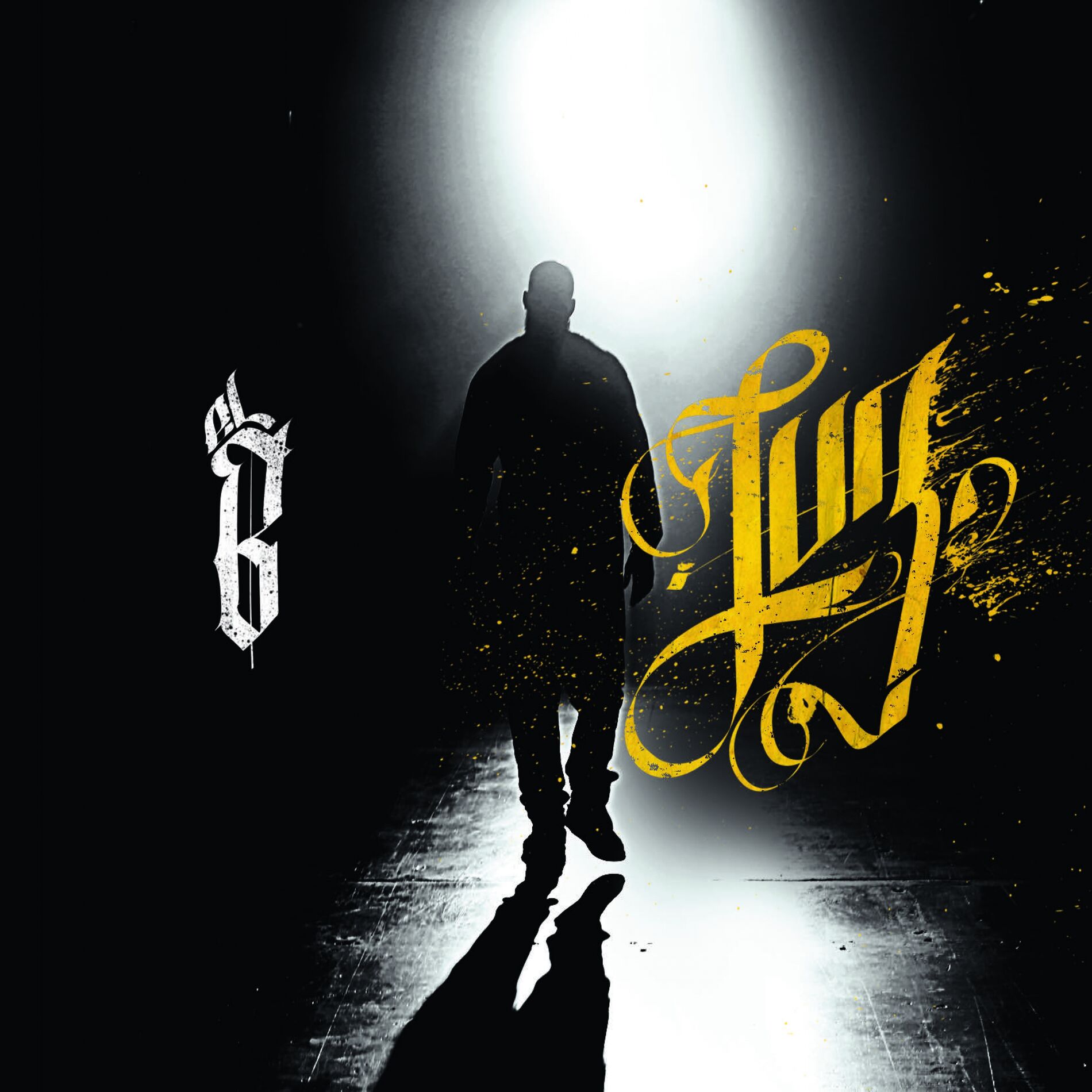 Album cover of Luz
