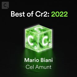 Cover of Cel Amunt