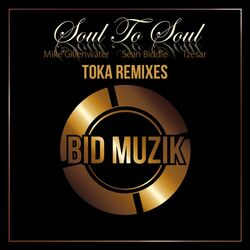Cover of Soul to Soul (Toka Remixes)