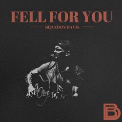 Cover of Fell For You