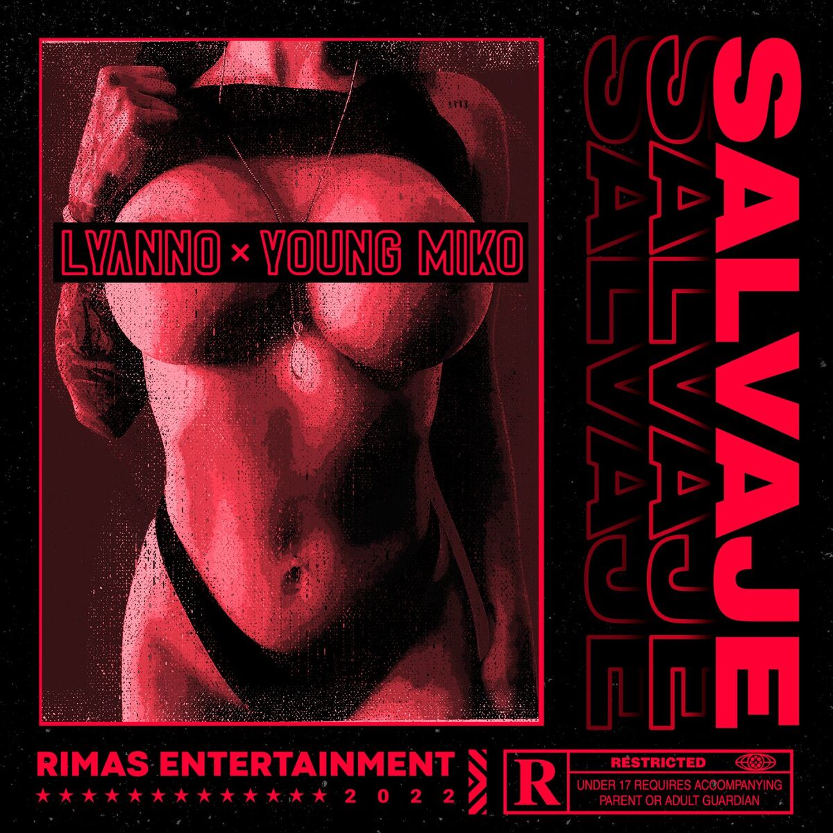 Album cover of Salvaje