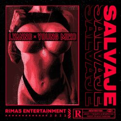 Cover of Salvaje