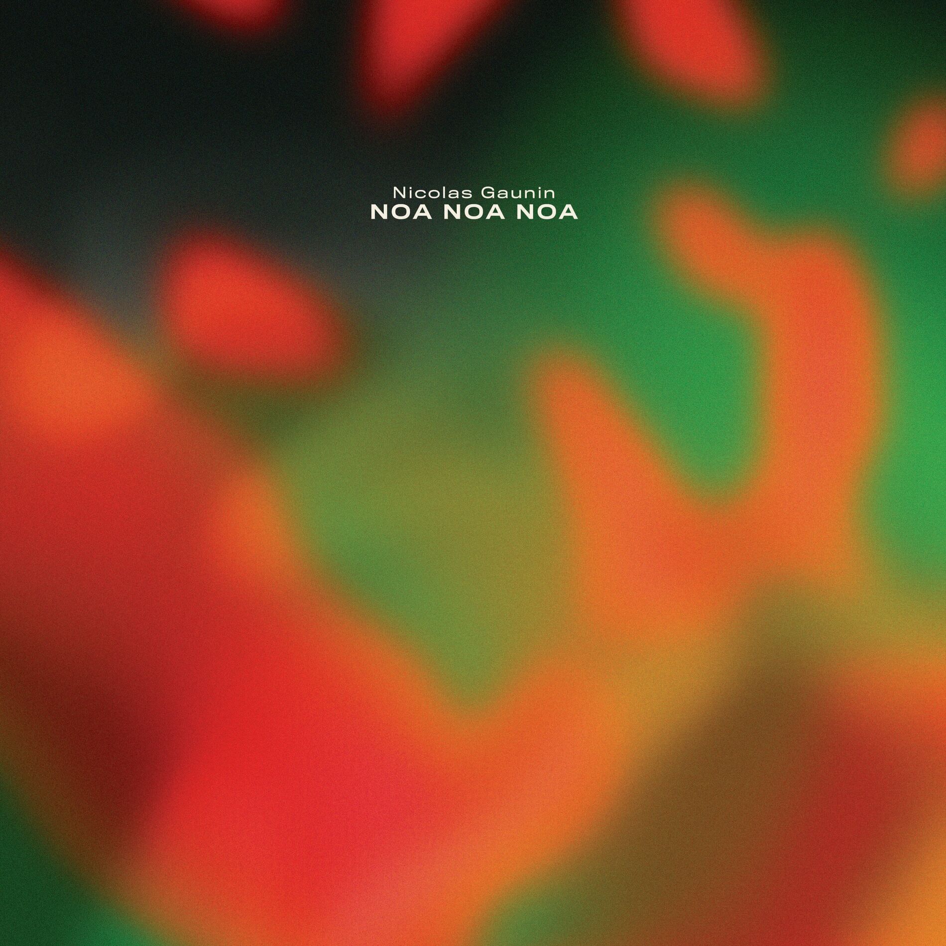 Album cover of Noa Noa Noa