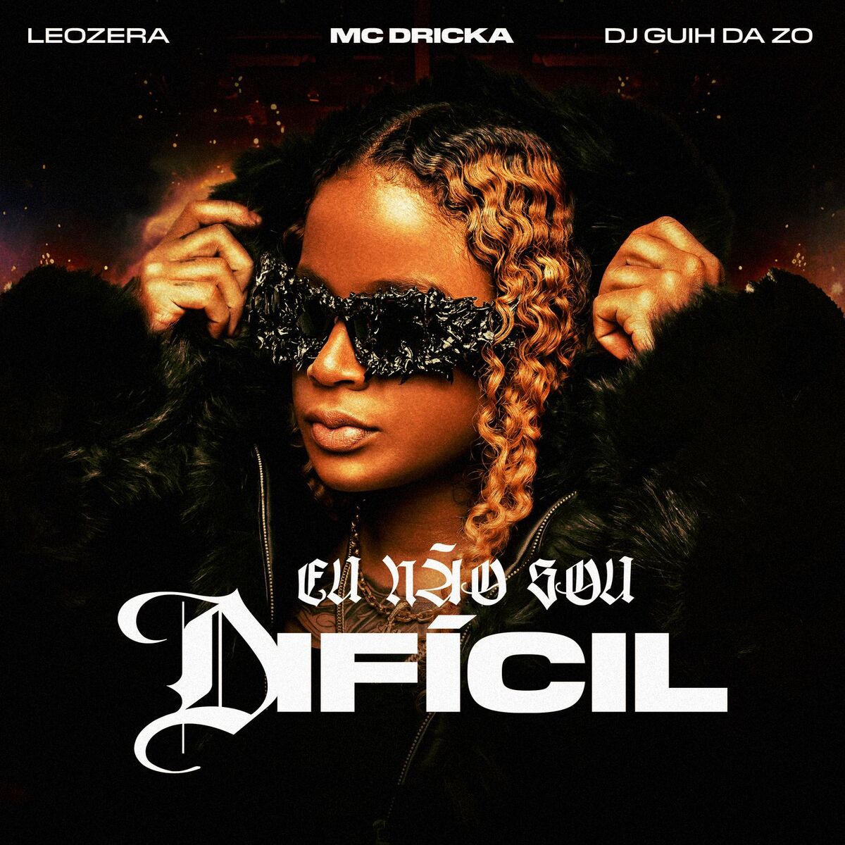 Album cover of Eu Não Sou Difícil