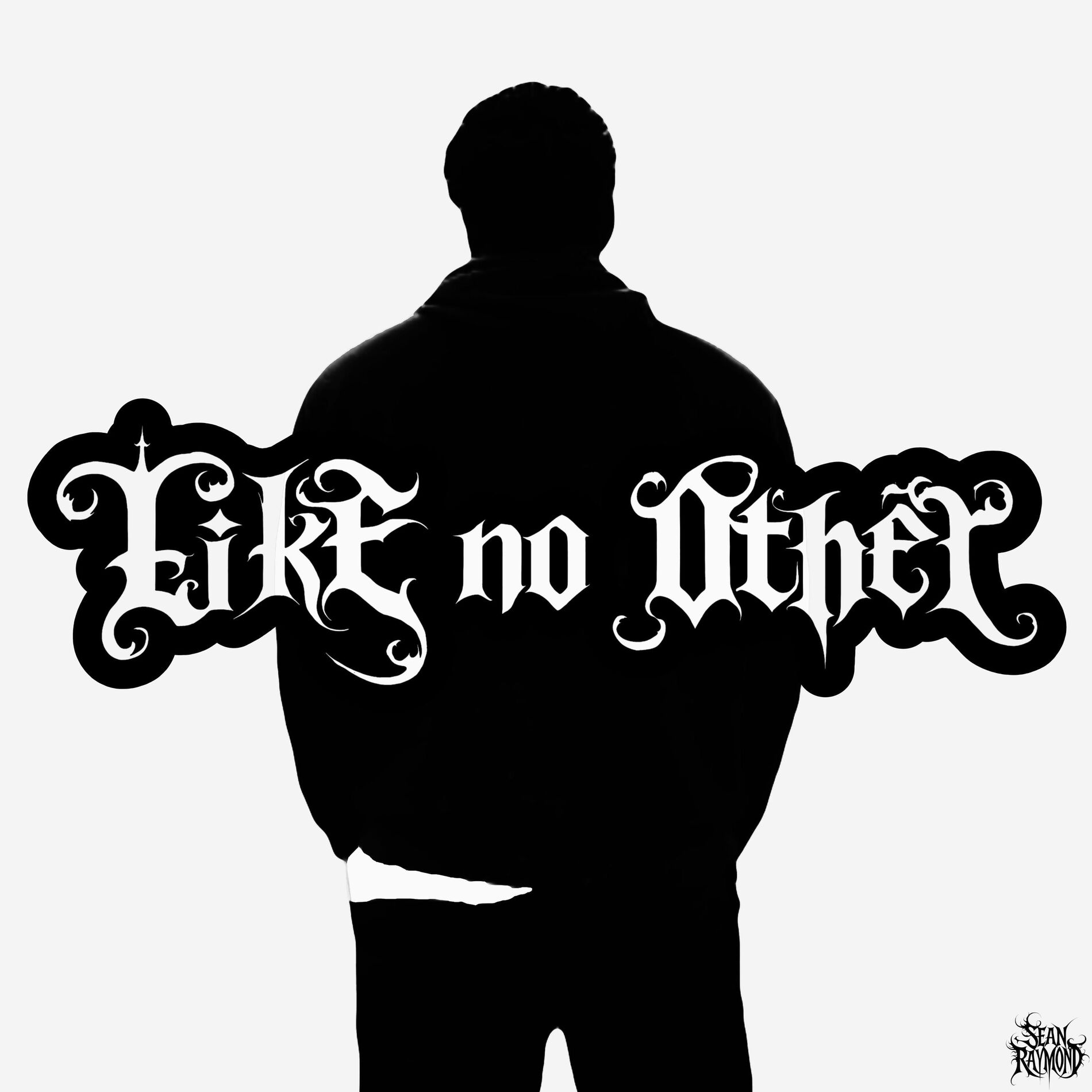 Album cover of Like No Other